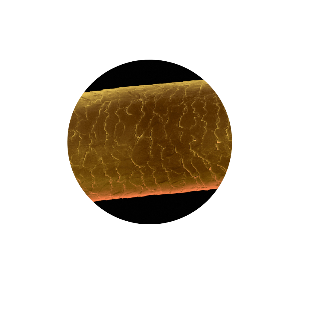 Close-up of high-quality 100% Remy human hair showing smooth cuticle alignment